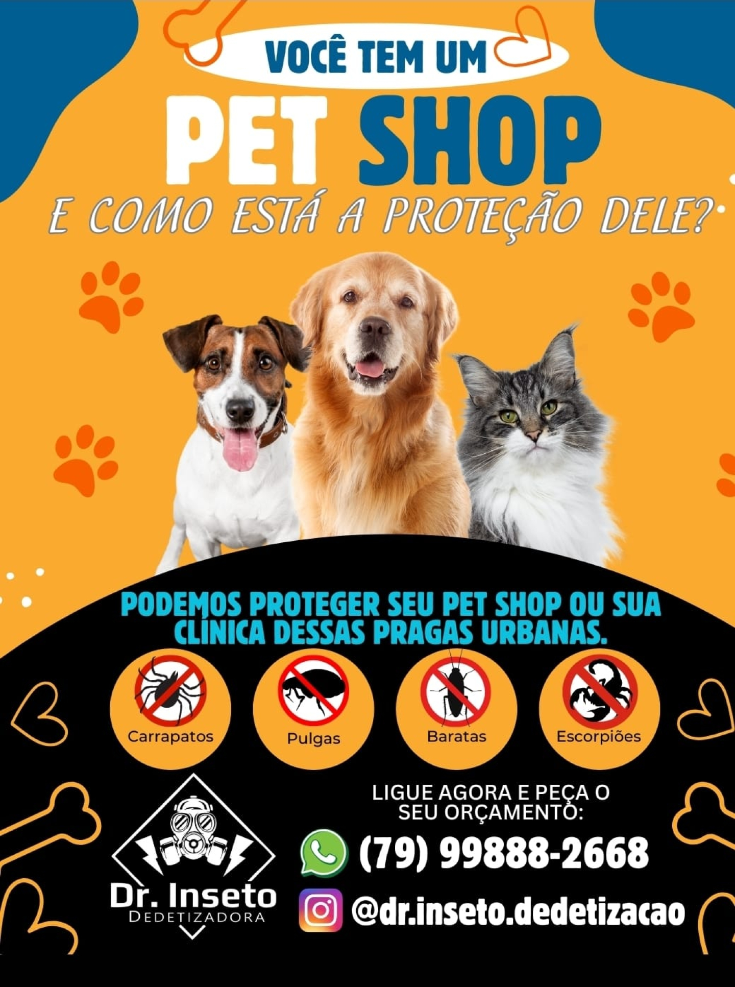 DR. INSETO DEDETIZAÇÃO